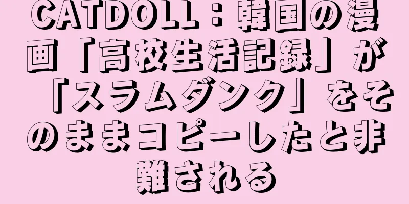 CATDOLL：韓国の漫画「高校生活記録」が「スラムダンク」をそのままコピーしたと非難される