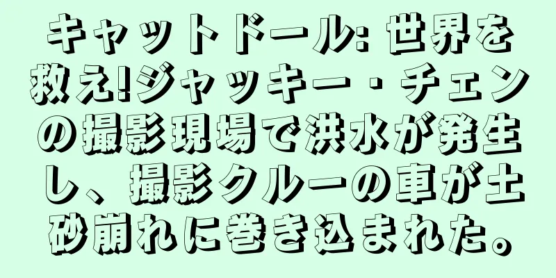 キャットドール: 世界を救え!ジャッキー・チェンの撮影現場で洪水が発生し、撮影クルーの車が土砂崩れに巻き込まれた。