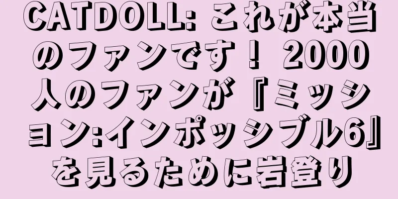 CATDOLL: これが本当のファンです！ 2000人のファンが『ミッション:インポッシブル6』を見るために岩登り