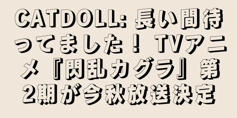 CATDOLL: 長い間待ってました！ TVアニメ『閃乱カグラ』第2期が今秋放送決定