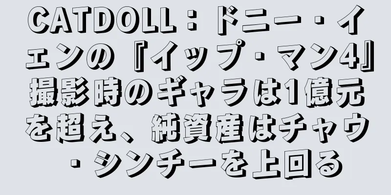 CATDOLL：ドニー・イェンの『イップ・マン4』撮影時のギャラは1億元を超え、純資産はチャウ・シンチーを上回る