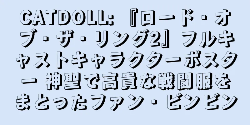 CATDOLL: 『ロード・オブ・ザ・リング2』フルキャストキャラクターポスター 神聖で高貴な戦闘服をまとったファン・ビンビン