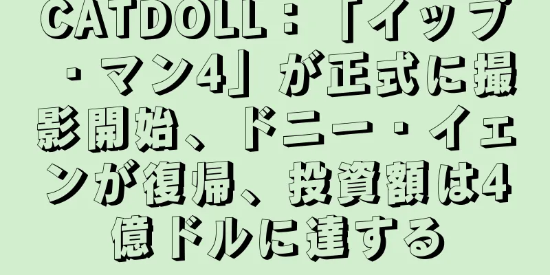 CATDOLL：「イップ・マン4」が正式に撮影開始、ドニー・イェンが復帰、投資額は4億ドルに達する