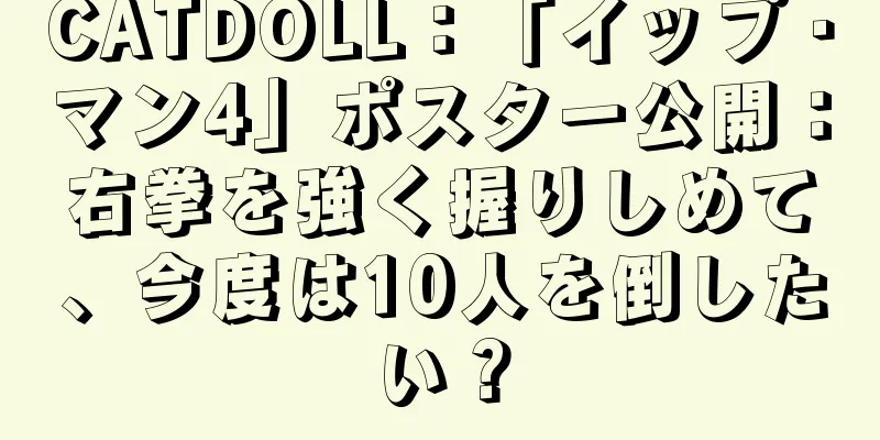 CATDOLL：「イップ・マン4」ポスター公開：右拳を強く握りしめて、今度は10人を倒したい？