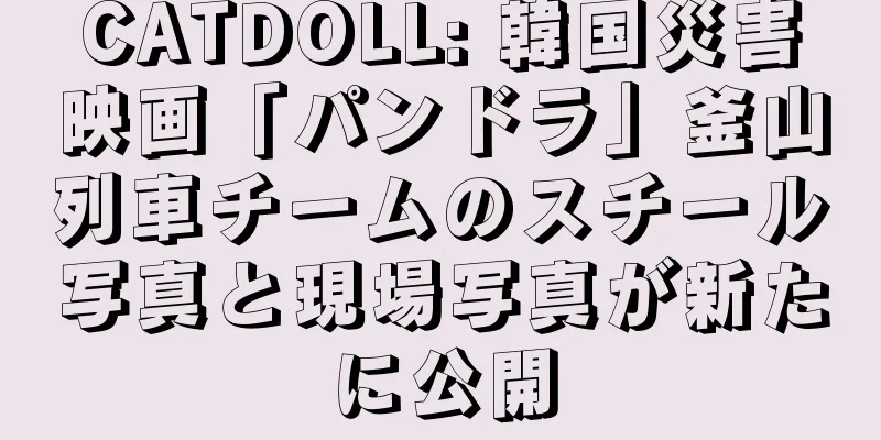 CATDOLL: 韓国災害映画「パンドラ」釜山列車チームのスチール写真と現場写真が新たに公開