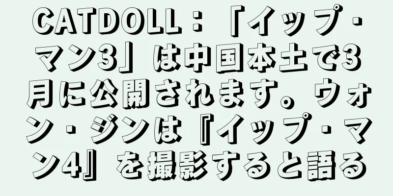CATDOLL：「イップ・マン3」は中国本土で3月に公開されます。ウォン・ジンは『イップ・マン4』を撮影すると語る