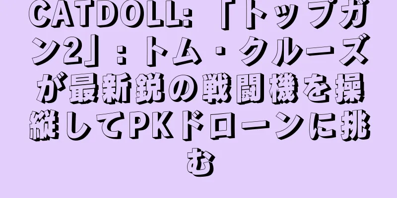 CATDOLL: 「トップガン2」: トム・クルーズが最新鋭の戦闘機を操縦してPKドローンに挑む